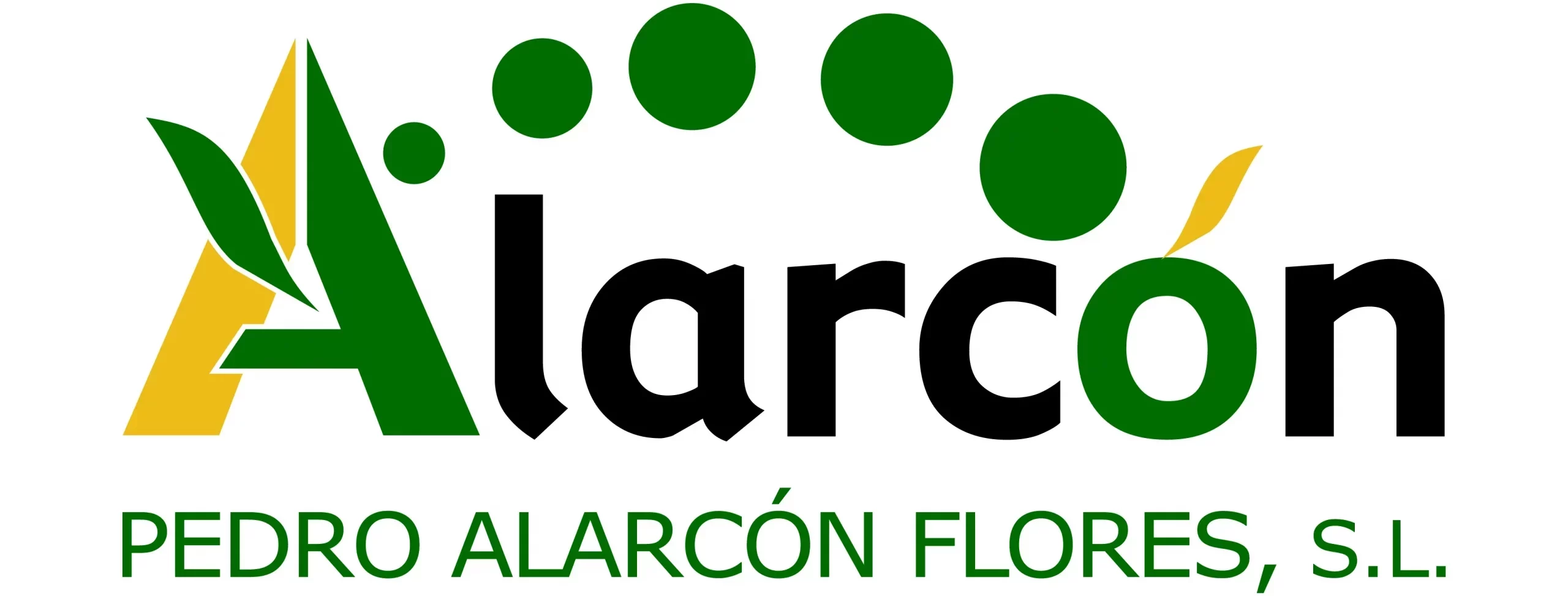 Logo Pedro Alarcón Flores S. L.